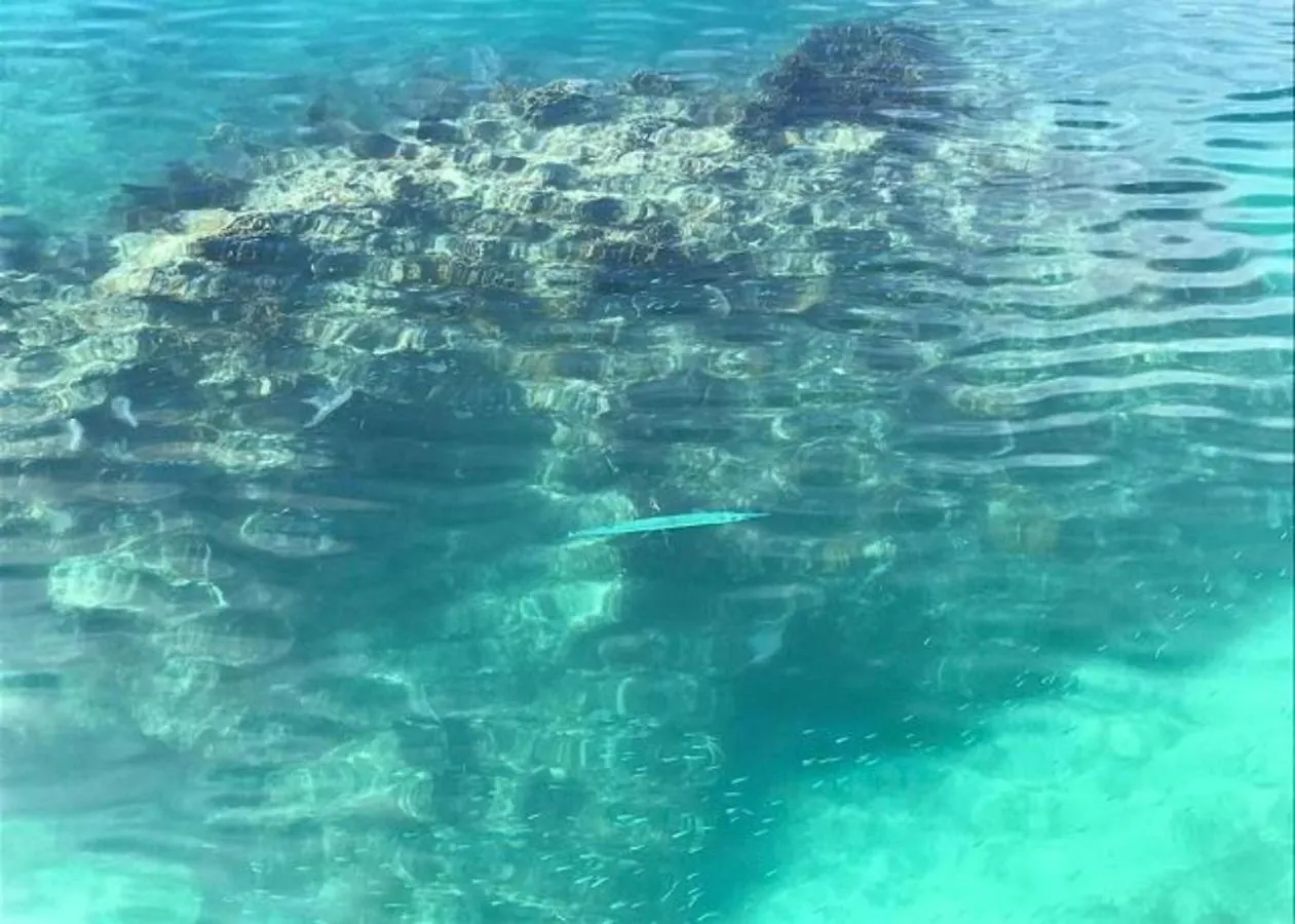 Holiday home Cupid'S Way By Eleuthera Vacation Rentals Governor's Harbour Bahamas